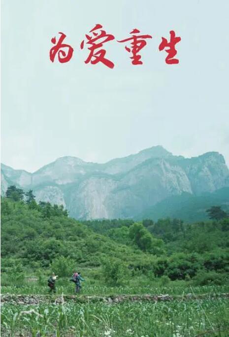 为爱重生(全集)