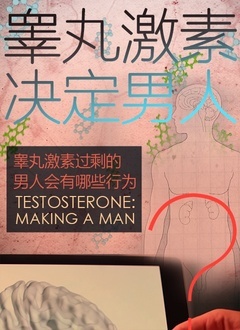 睾丸激素决定男人(全集)