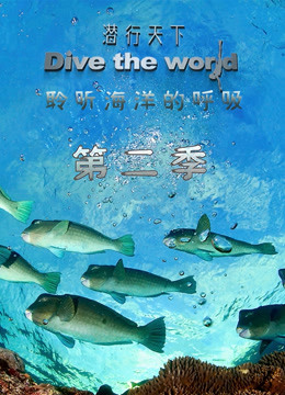 潜行天下 第二季(全集)