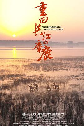 重回长江的麋鹿(全集)