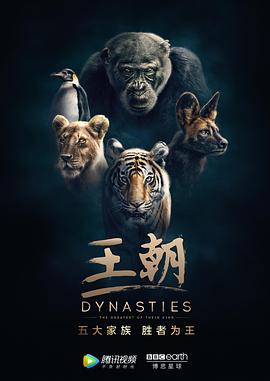 王朝 第一季 英文版(全集)