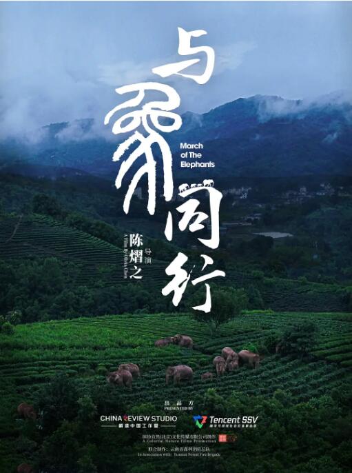 与象同行(全集)