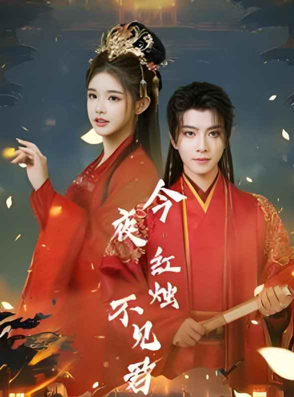 今夜红烛不见君(全集)