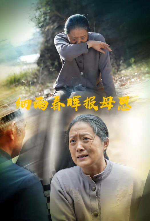 细雨春晖报母恩(全集)