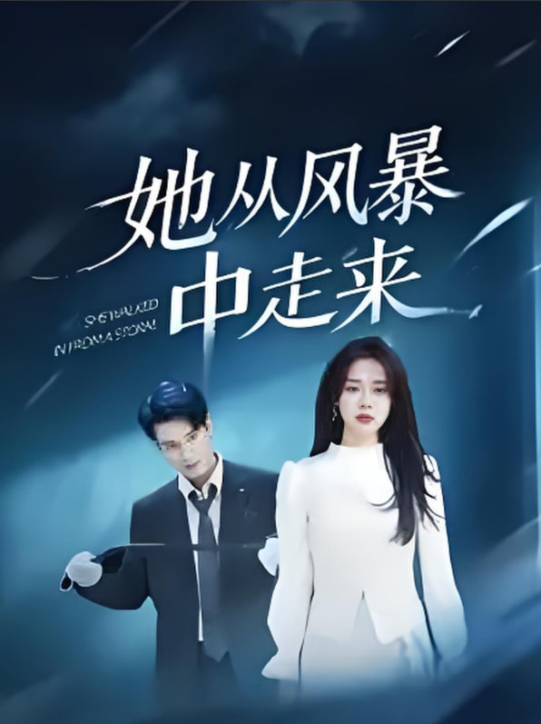 她从风暴中走来(全集)