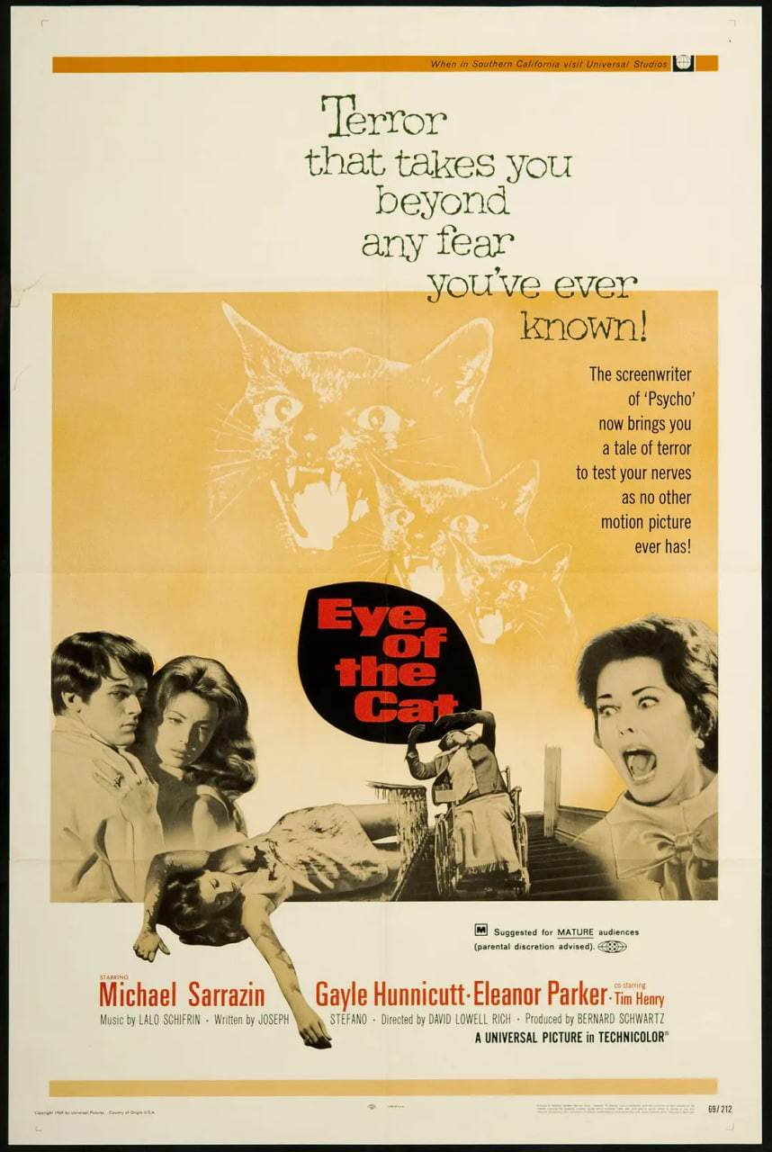 猫儿擒凶记(全集)