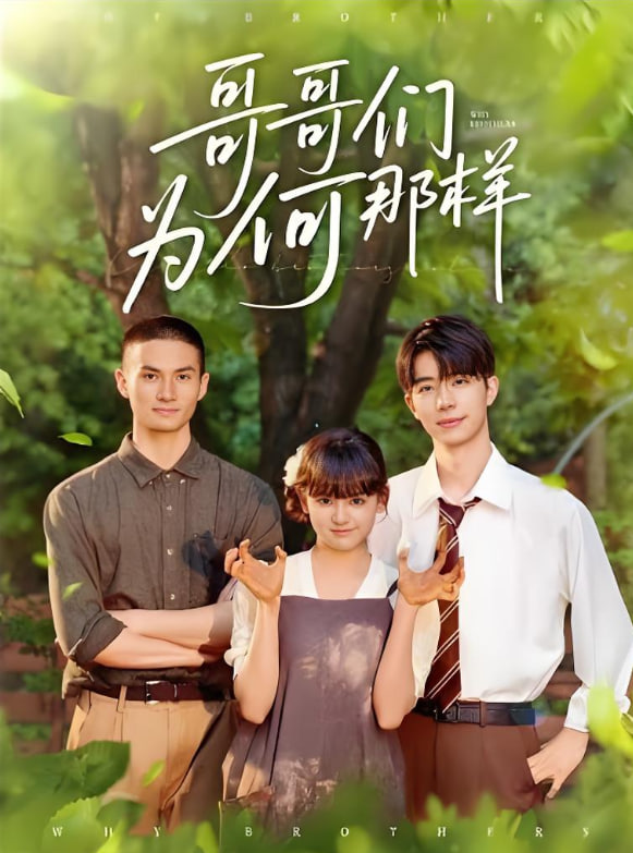 哥哥们为何对我那样(全集)