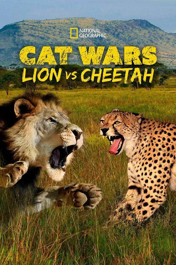 搜索 猫科大战：狮子VS猎豹(全集)