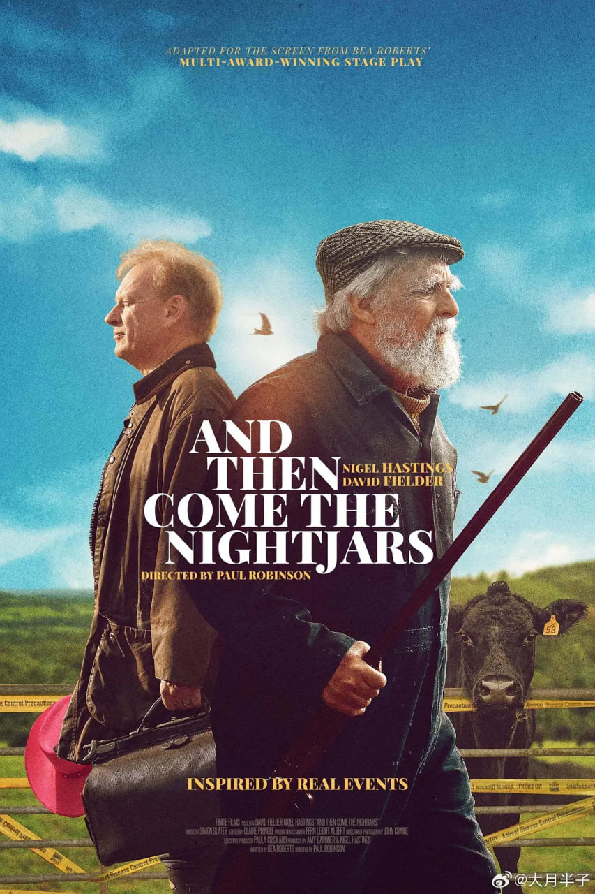 然后夜鹰来了(全集)