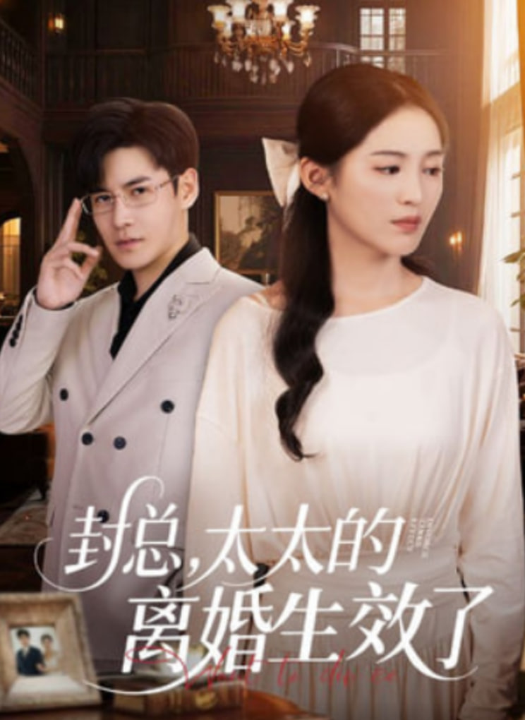 封总，太太的离婚生效了(全集)