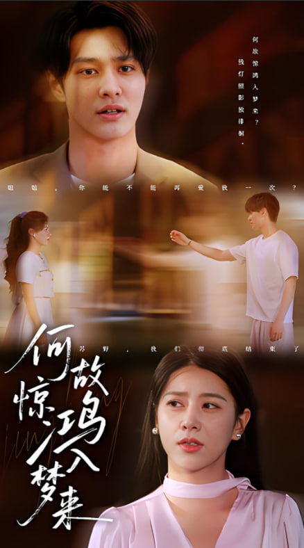 何故惊鸿入梦来(全集)