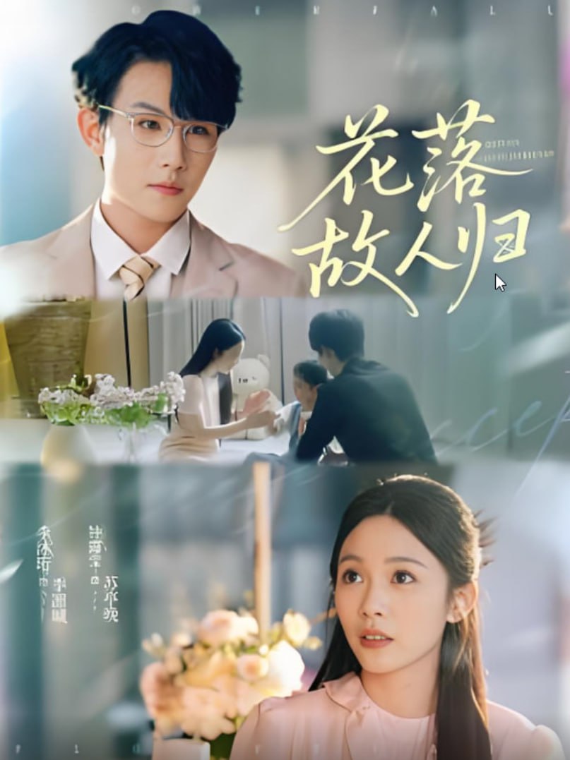 花落故人归(全集)