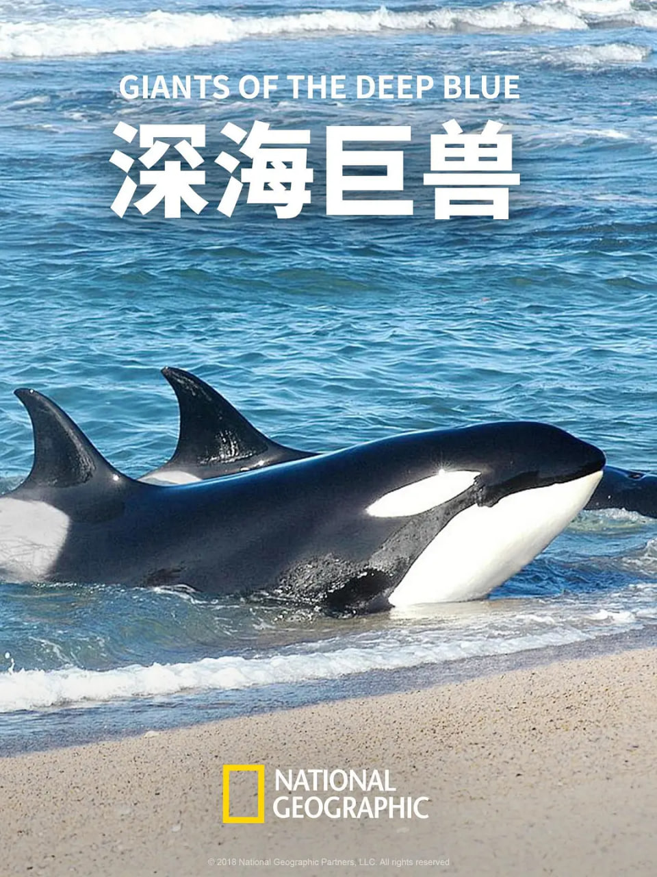 深海巨兽(全集)