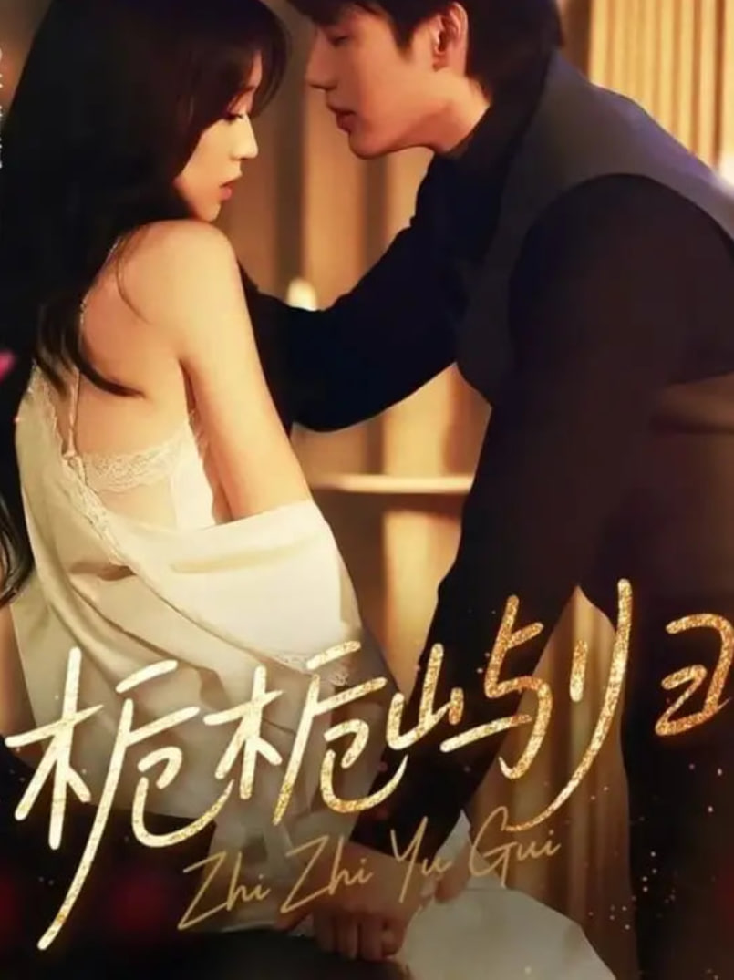 栀栀屿归(全集)