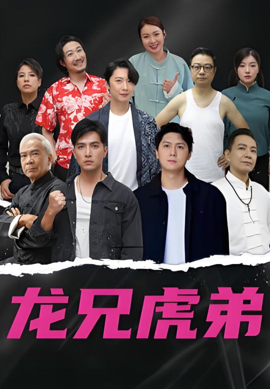 龙虎兄弟 国语版(全集)