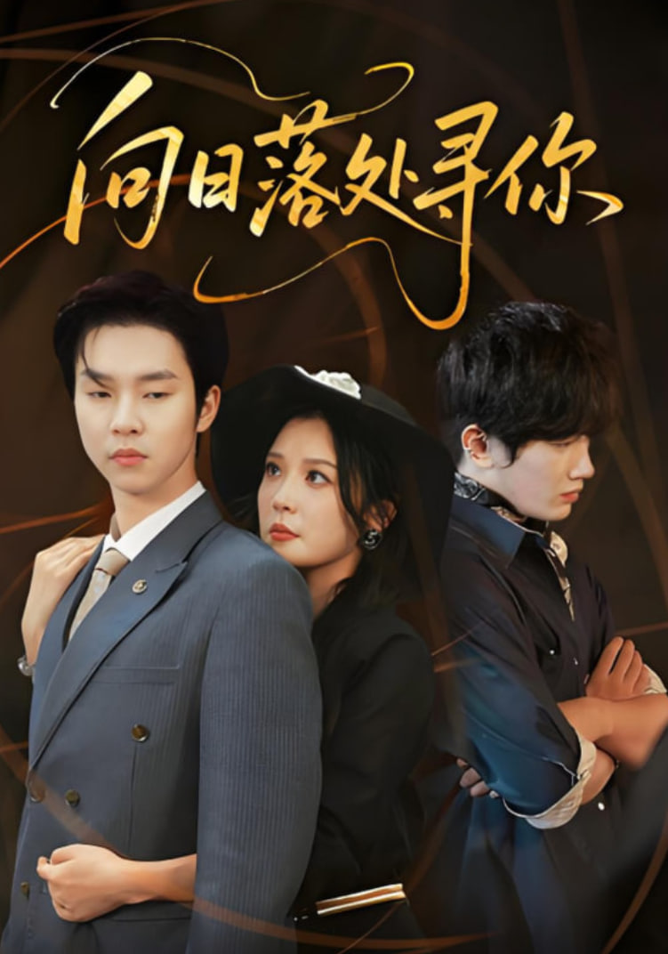 向日落处寻你(全集)