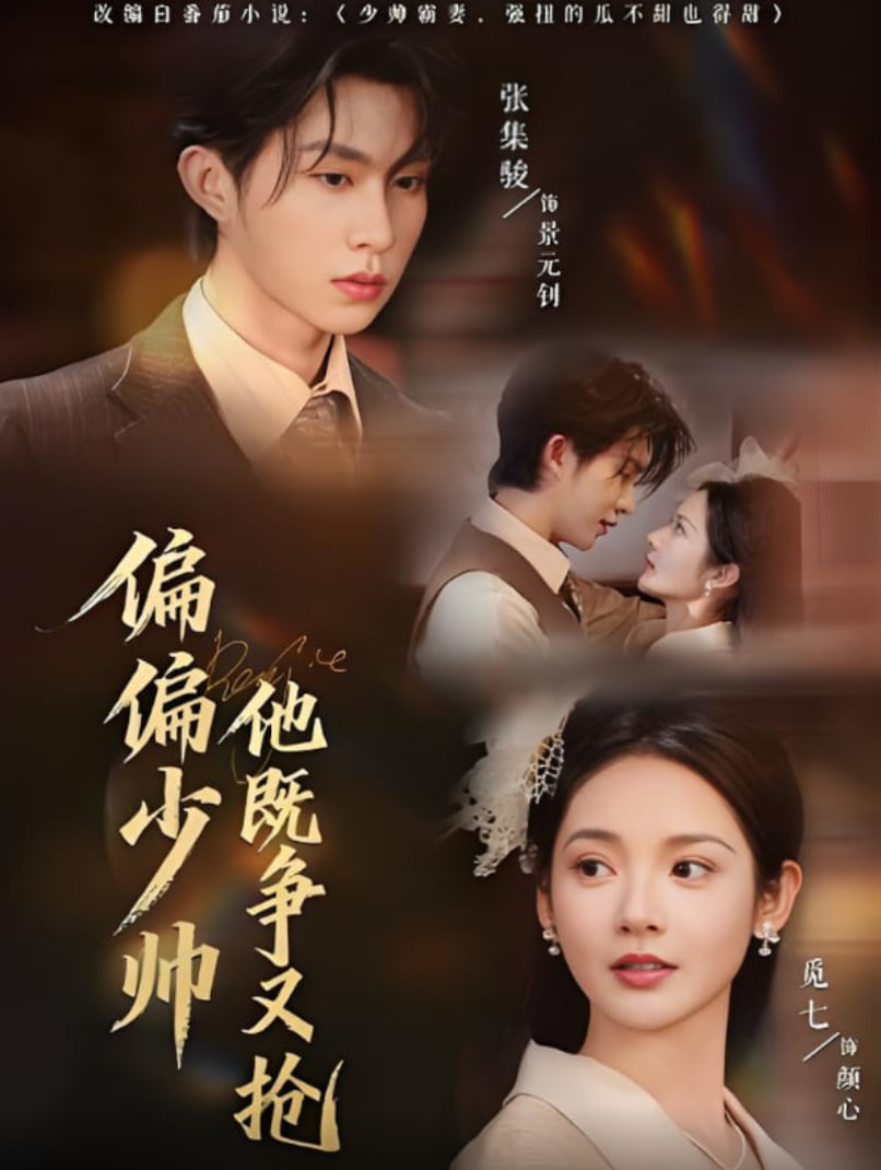 偏偏少帅他既争又抢(全集)