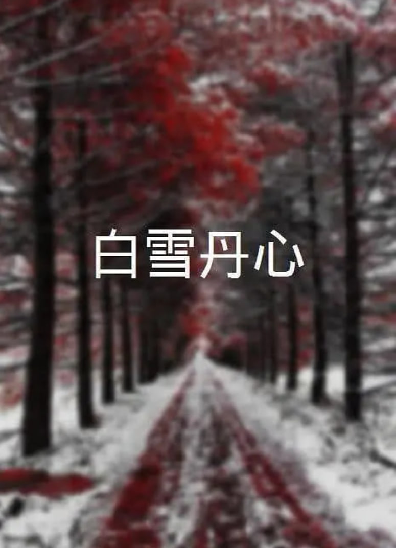 白雪丹心(全集)