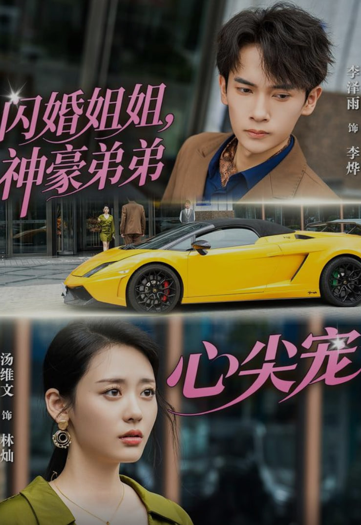 闪婚姐姐，神豪弟弟心尖宠(全集)