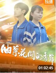 油菜花开的季节(全集)