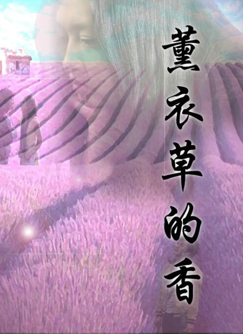 薰衣草的香(全集)
