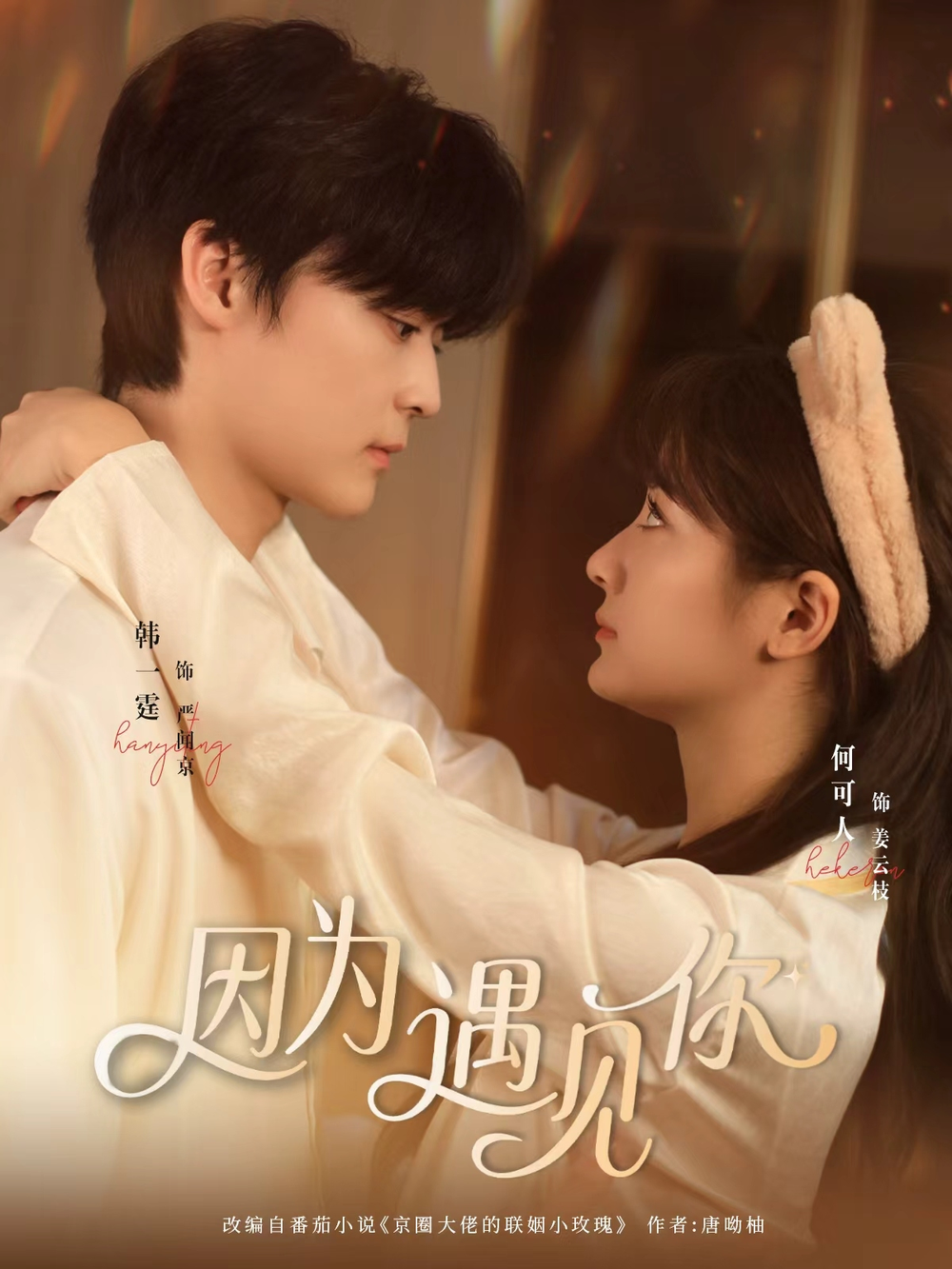 因为遇见你短剧(全集)