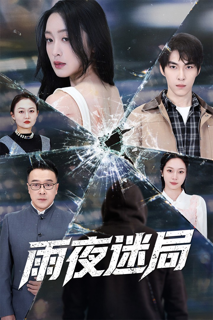 雨夜迷局＆沉默的真相之雨夜原罪(全集)