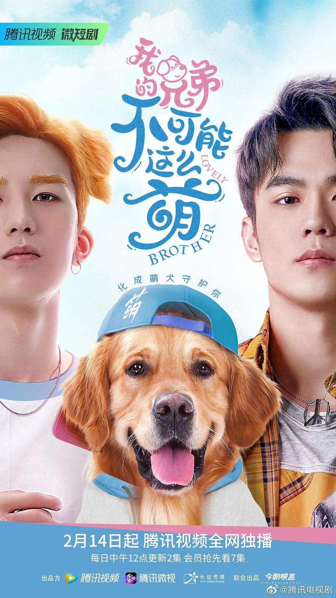 我的兄弟不可能这么萌(全集)