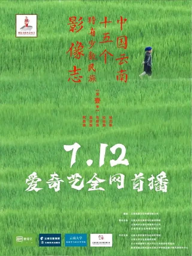 中国云南十五个特有少数民族影像志(全集)